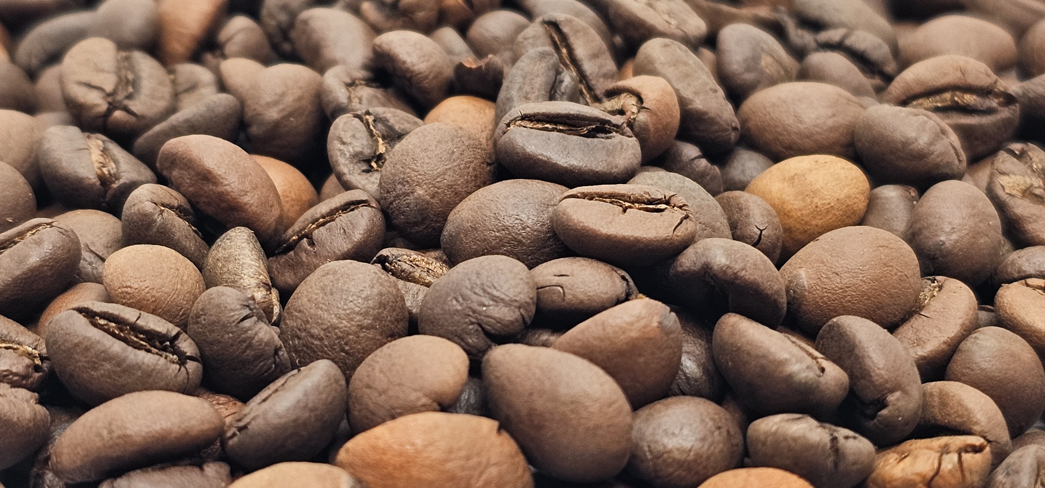 볼케이노 루비 원두 이미지