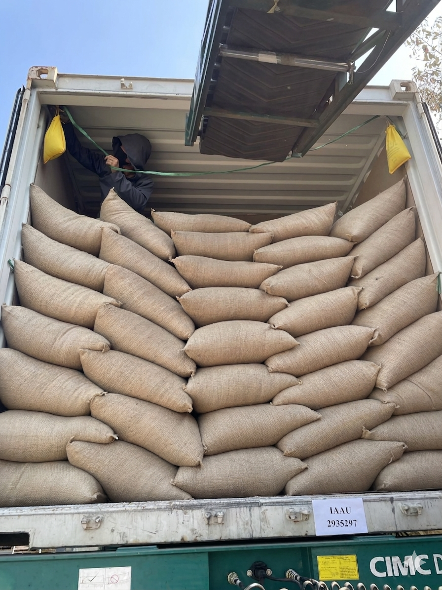 베트남 산지에서 직접 선적되는 컨테이너