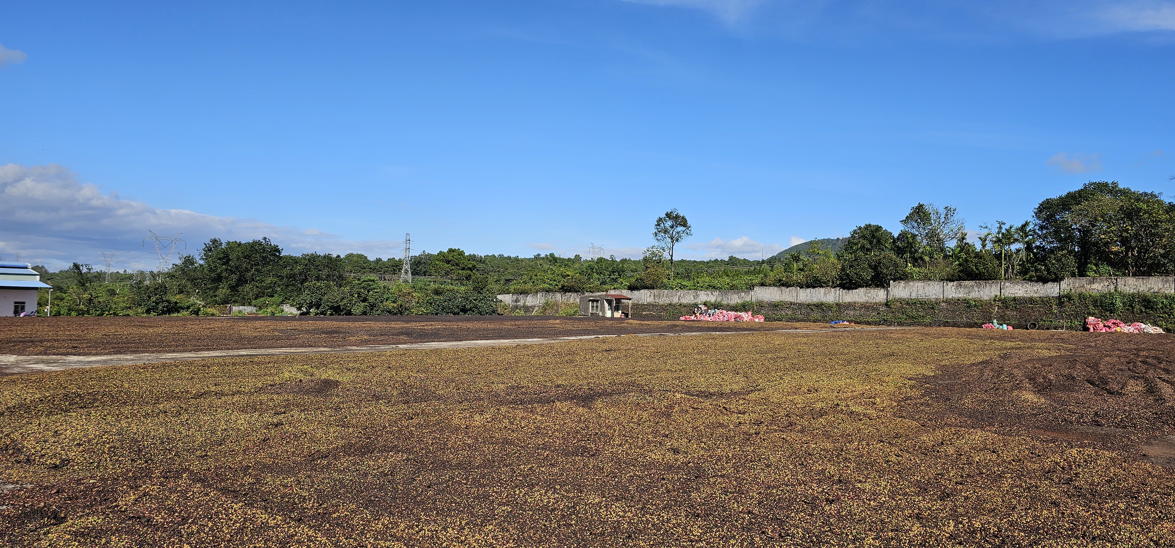 베트남 화산 고원 건조장 전경